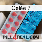 Gelée 7 new14